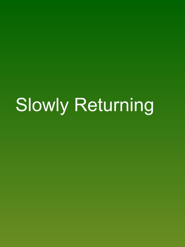 Slowly Returning