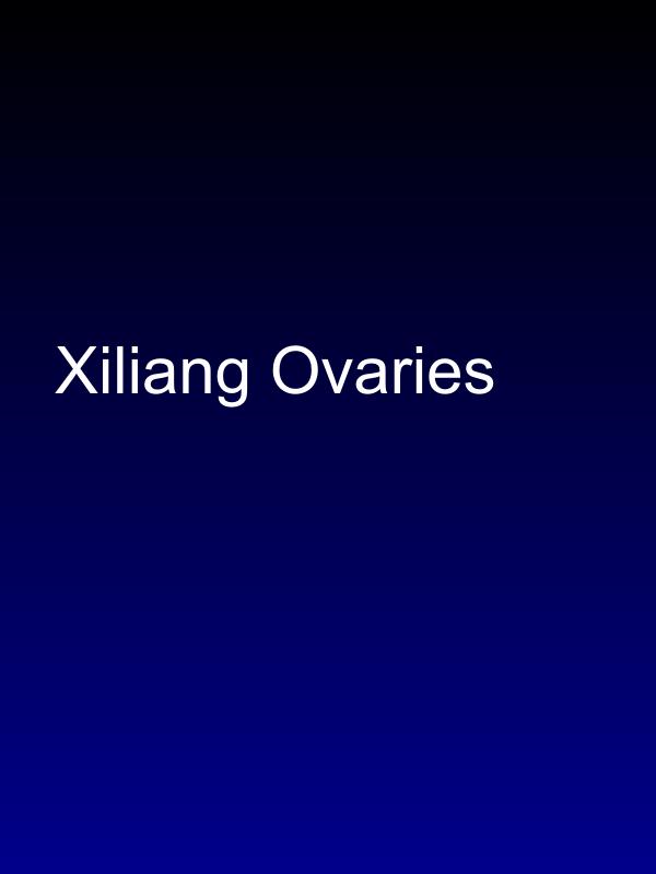 Xiliang Ovaries