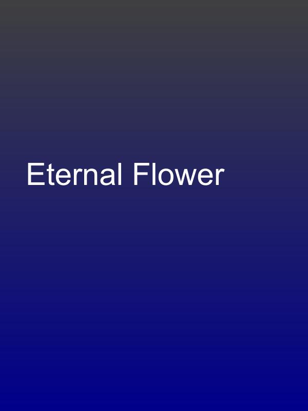 Eternal Flower