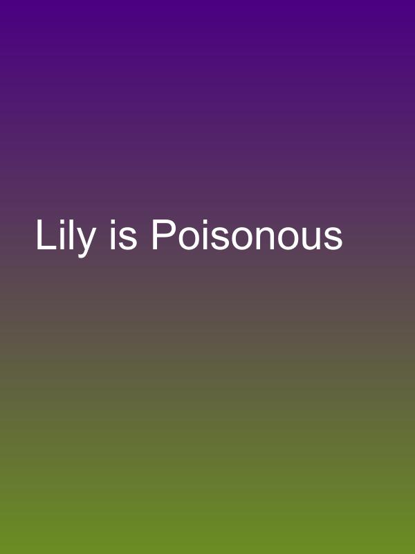 Lily is Poisonous