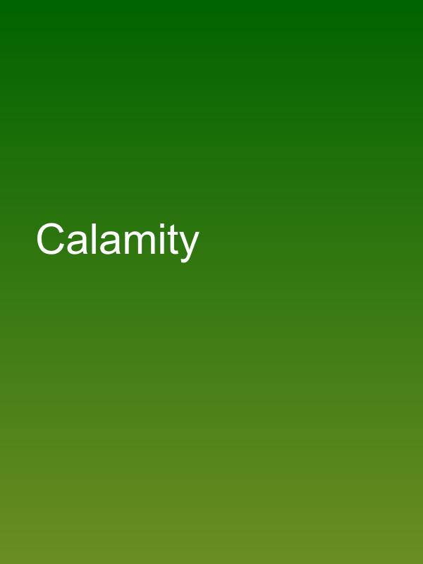 Calamity