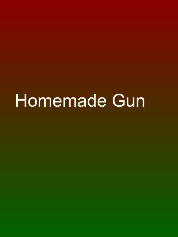 Homemade Gun